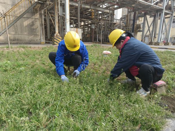 3月22日，行政保衛(wèi)部馬師傅和孫師傅在道路兩旁清除雜草。.jpg
