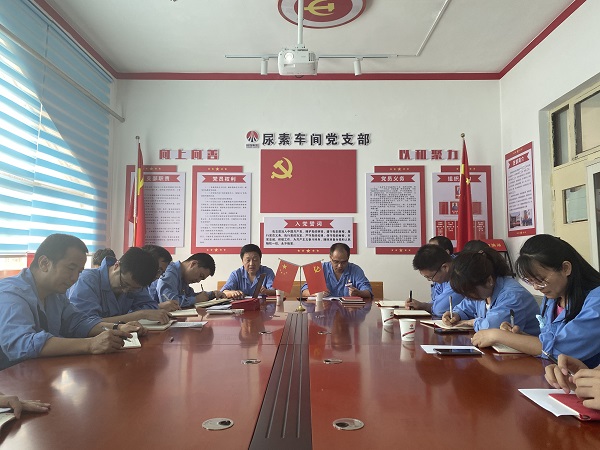 6月19日下午，尿素車間黨支部與法律審計(jì)部黨支部開展結(jié)對(duì)共建活動(dòng)2.jpg