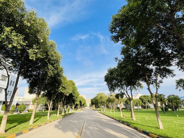 景觀大道.jpg
