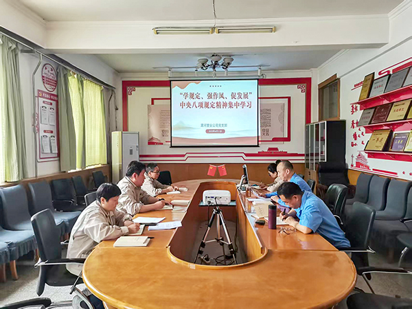 4月11日，渭河塑業(yè)公司全體黨員集中學(xué)習(xí)中央八項規(guī)定精神.jpg